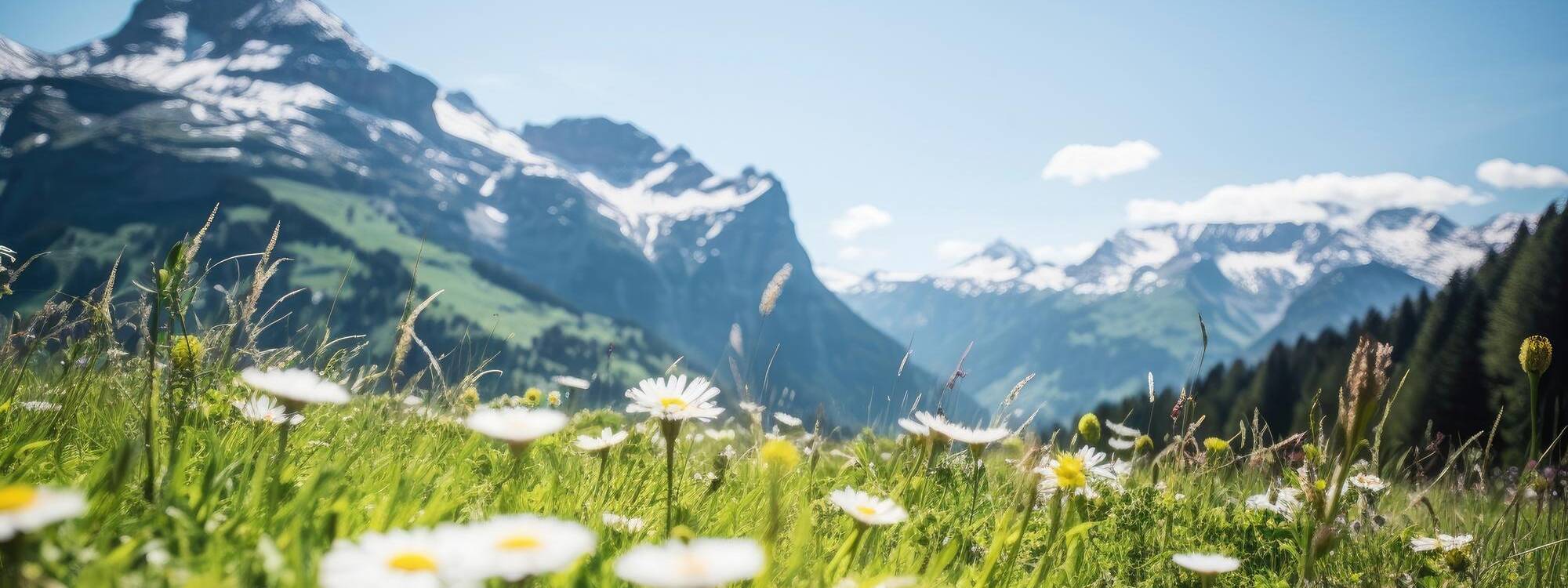 Sommerurlaub - Tirol